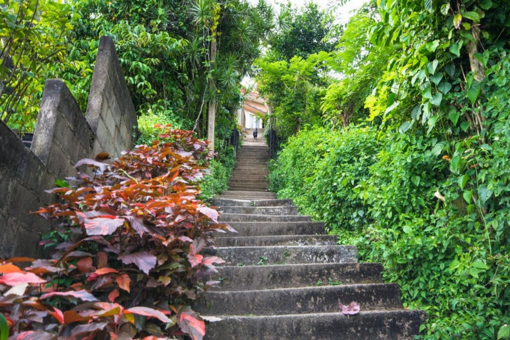 Udawatta Kele (UK) Forest Lodge Image 12