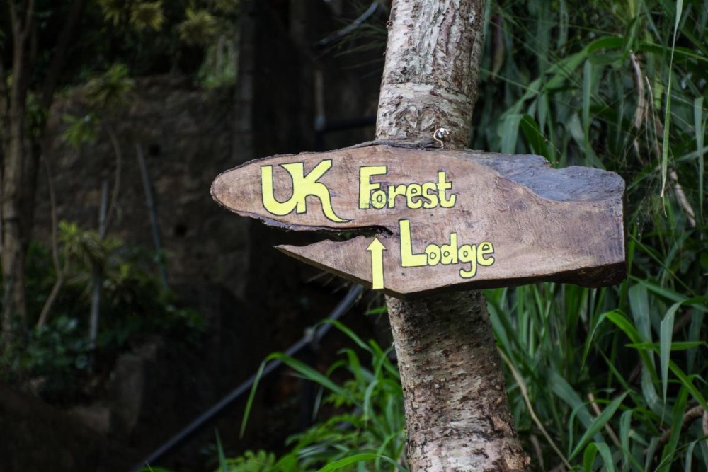 Udawatta Kele (UK) Forest Lodge Image 14