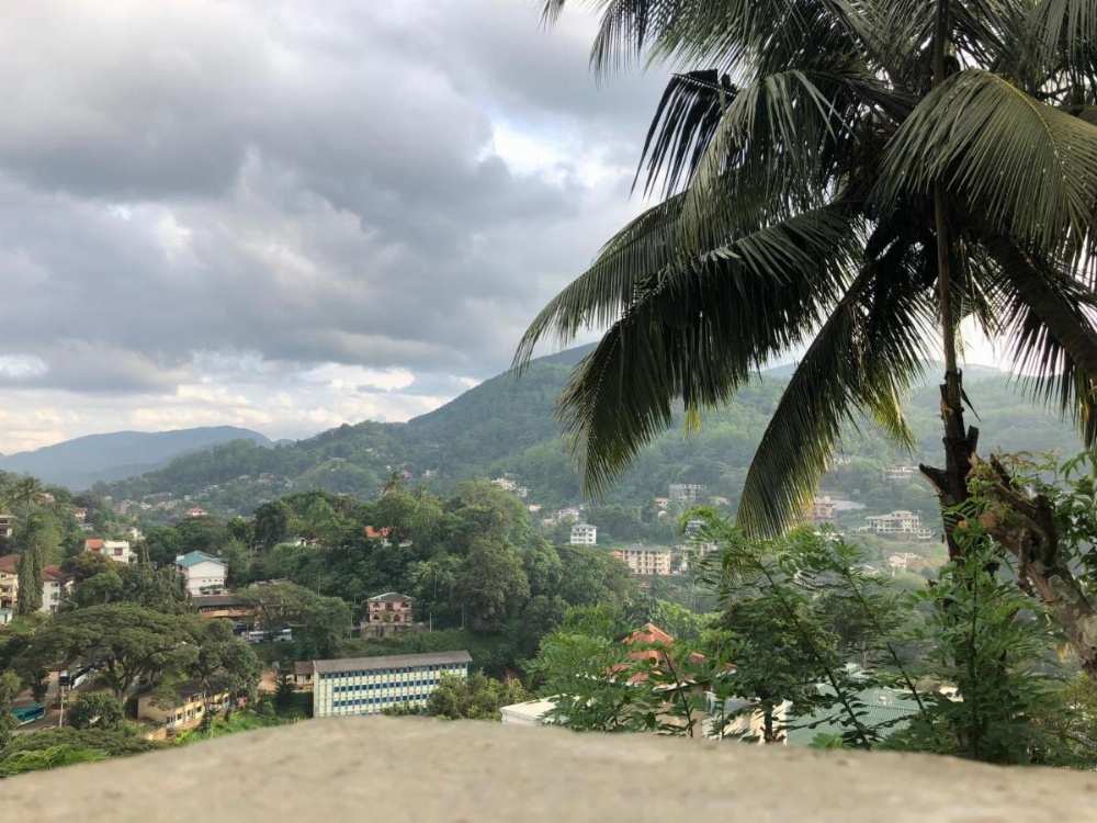 Udawatta Kele (UK) Forest Lodge Image 19