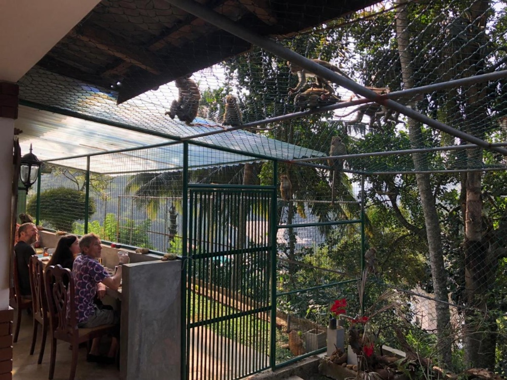 Udawatta Kele (UK) Forest Lodge Image 24