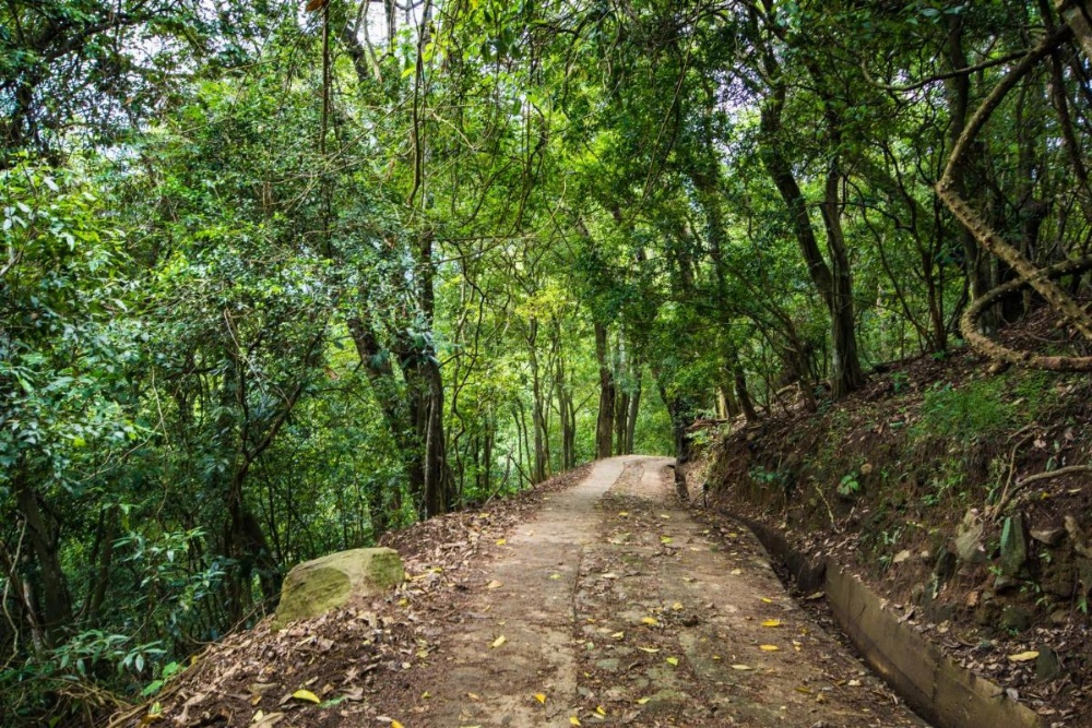 Udawatta Kele (UK) Forest Lodge Image 44
